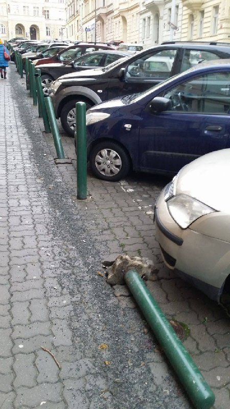 Popadané parkovací zábrany v ulici Sezimova