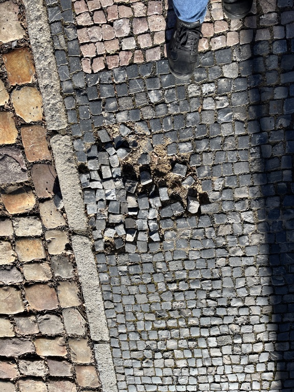Rozpadlá skladba pražské mozaiky (chybějící kostky)